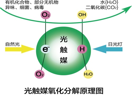 u=4255542305,3933730766&fm=26&gp=0.jpg